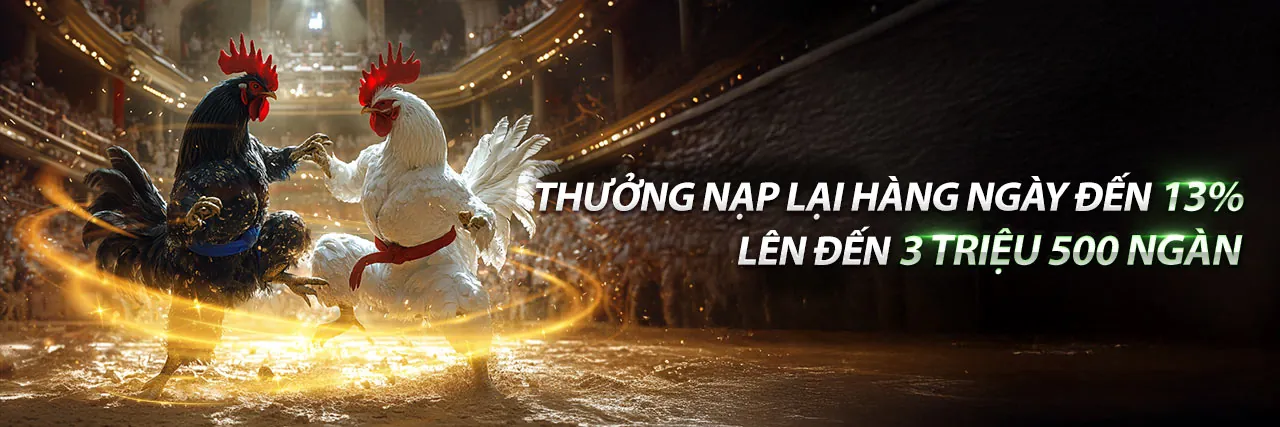 Hình ảnh chính S8BET CODE Khuyến Mãi