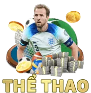 Hoa Hồng Cao